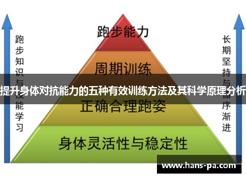 提升身体对抗能力的五种有效训练方法及其科学原理分析