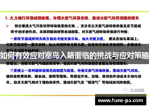 如何有效应对塞鸟入籍面临的挑战与应对策略