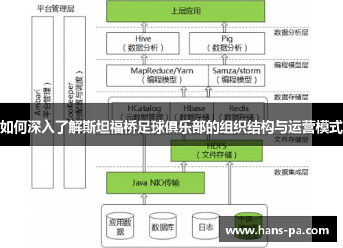 如何深入了解斯坦福桥足球俱乐部的组织结构与运营模式