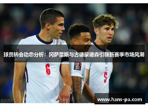 球员转会动态分析：冈萨雷斯与古德蒙德森引领新赛季市场风潮