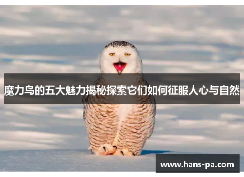 魔力鸟的五大魅力揭秘探索它们如何征服人心与自然
