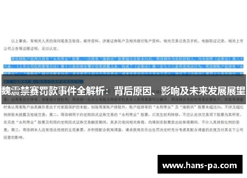 魏震禁赛罚款事件全解析：背后原因、影响及未来发展展望