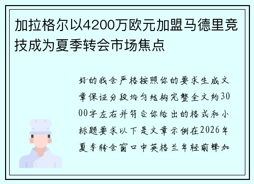 加拉格尔以4200万欧元加盟马德里竞技成为夏季转会市场焦点